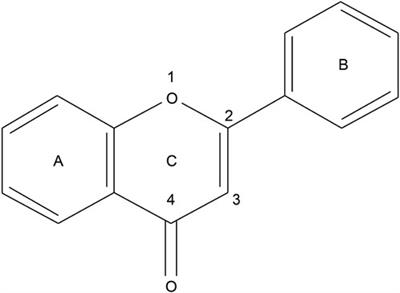 Targeting bone homeostasis regulation: potential of traditional Chinese medicine flavonoids in the treatment of osteoporosis